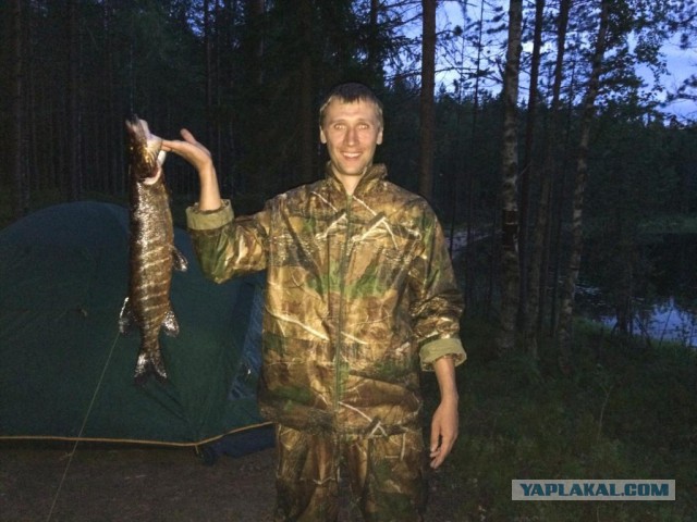 Две недели впечатлений.