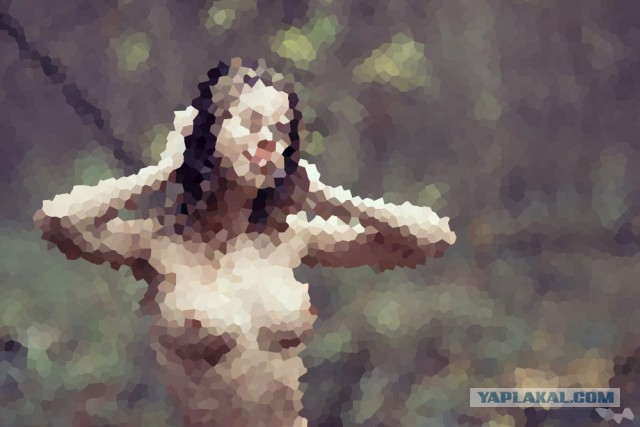 Когда зашел на ЯП, а эротику уже запретили