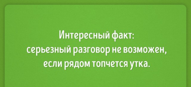Абсурдный юмор ч.12