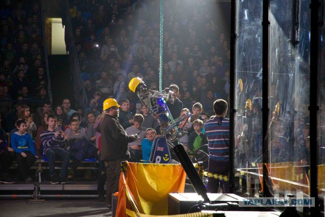 Бронебот 2016: Настоящие бои роботов состоялись в Олимпийском!