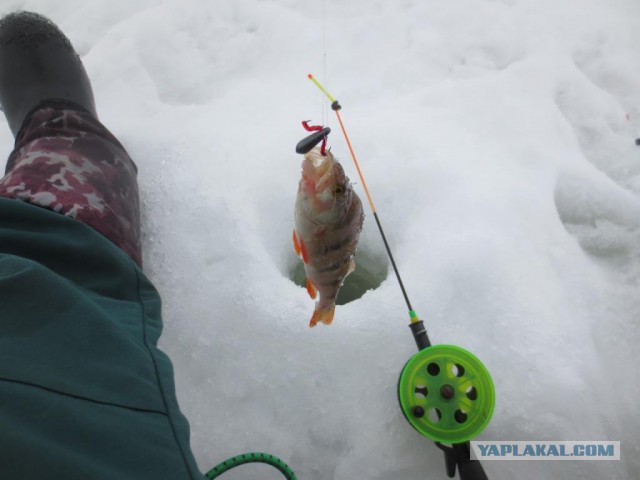 Сходил на зимнюю рыбалку