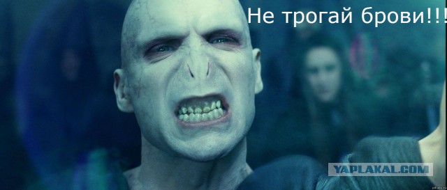10 странных и неожиданных фактов об органах человеческого тела