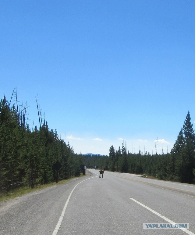 Деревенская Америка - 2