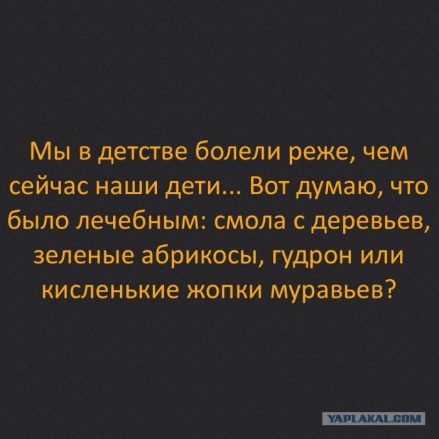 Высказывания и мысли в картинках