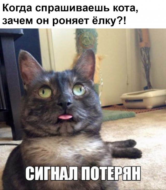 Порция абсурдного юмора на следующую неделю