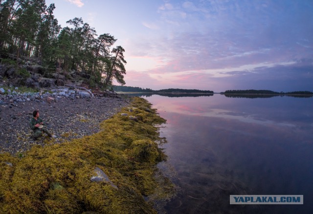 Карелия. Белое море.