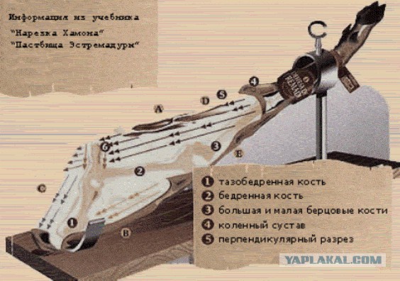 Сыровяленый окорок