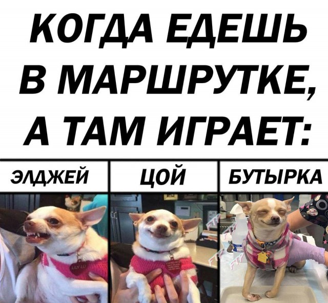 Просто картинки