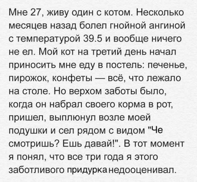 Смешные комментарии из социальных сетей 30.03.2018