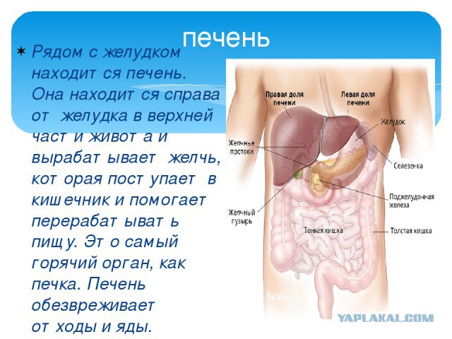 Запросы девушек за 30 нереальны