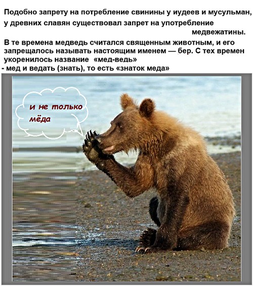 Анекдоты, истории и картинки с надписями