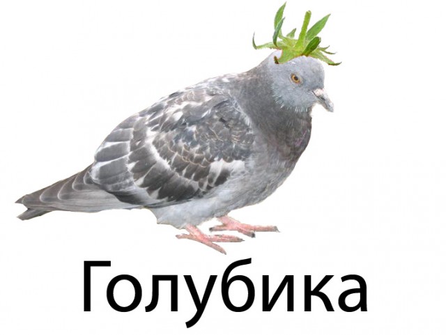 Фотожаба: Лето, фрукты, генетика!