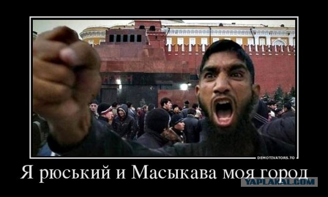 Толерантно или нет?