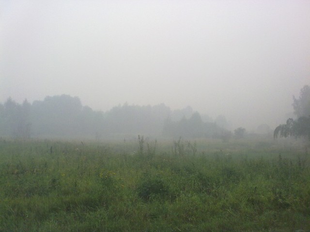 Вспомним 2010г