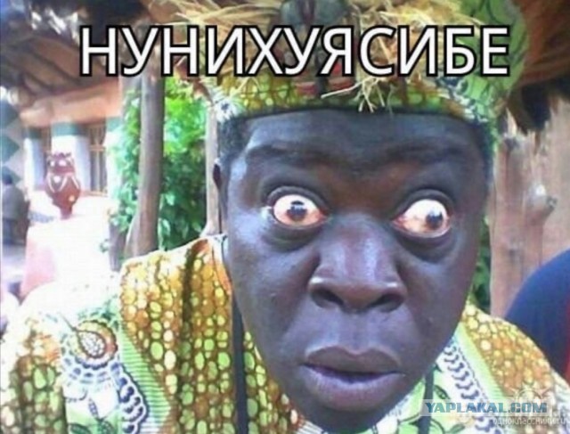 Опасайтесь мышей!