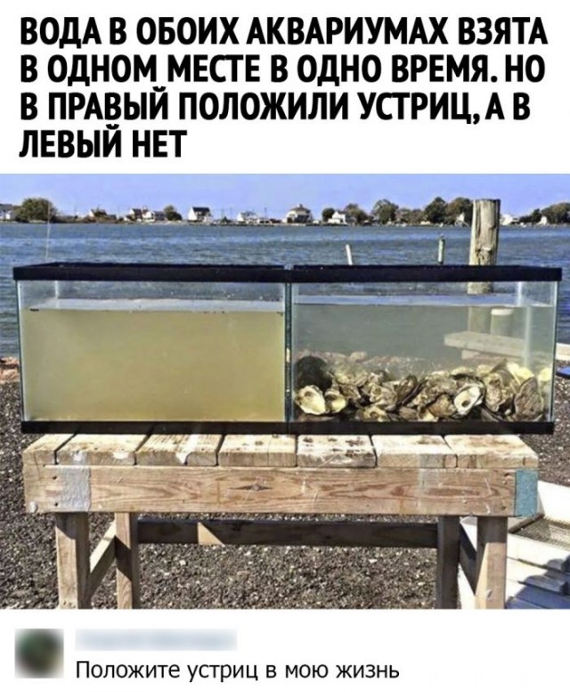 Картинки с надписями и всякие жизненные фразы 25.01.21