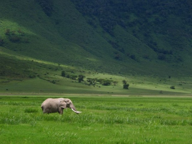 Картинки и мемы для настроения 05.08.2021