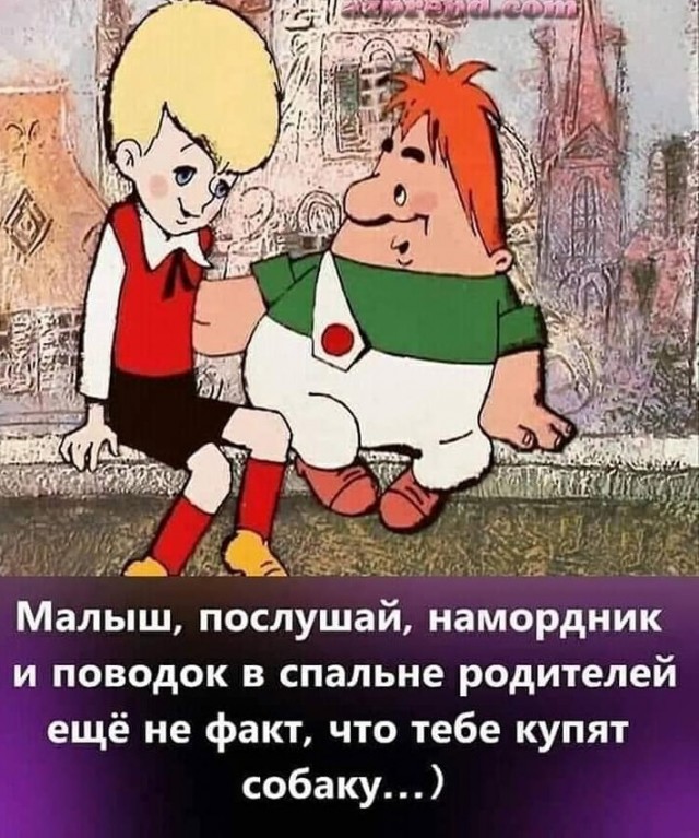 Так себе картинки 16.08.21