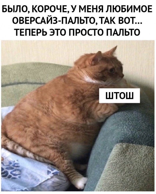 Юмор и прикольные картинки 11.10.2021