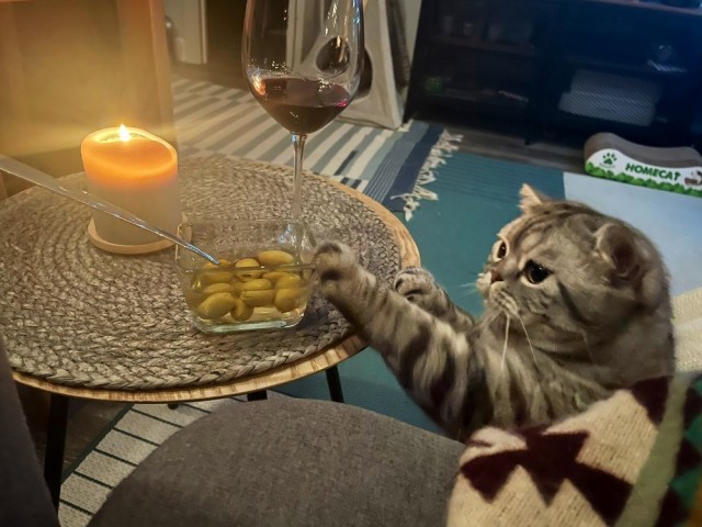 Подборка картинок для настроения 10.01.22