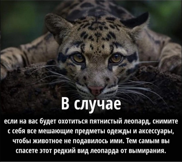 Немного картинок и прочей хреноты Vol. 4