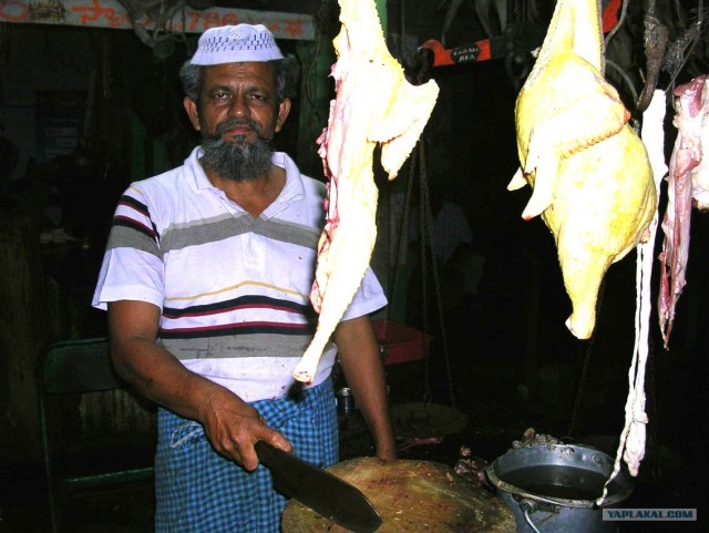 Индия 2007 - 2008 г.