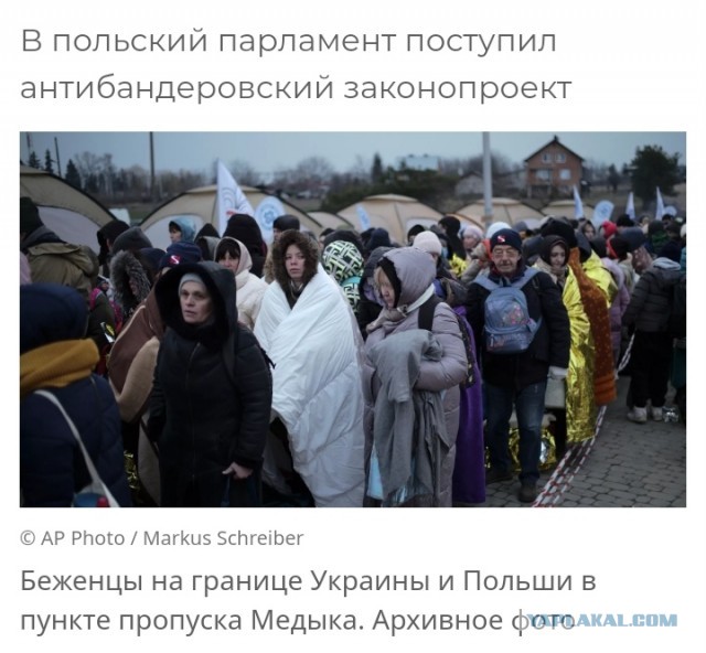 В Польше предложили неожиданный законопроект об украинцах