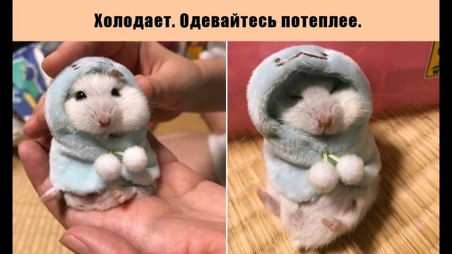 Прикольные и просто красивые картинки 25.12.2022