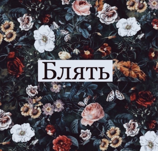 Нуштош 06.07.2023