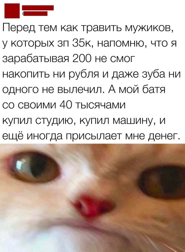 Так себе картинки 10.10.2023