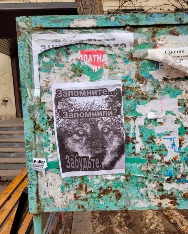 Всего понемногу. От 10.11.23