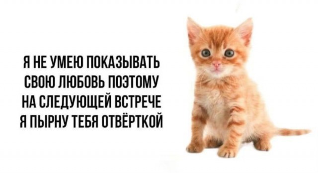 Всего понемногу. От 05.08.24