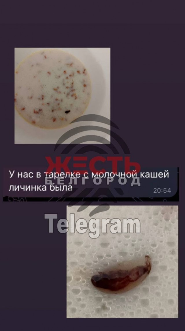 «Оставались бы дома. Что вы вообще сюда приехали?»