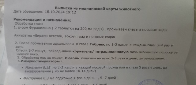 Как и обещал запилить пост - кот пошел на поправку