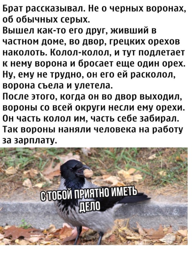 Так себе картинки 05.12.24