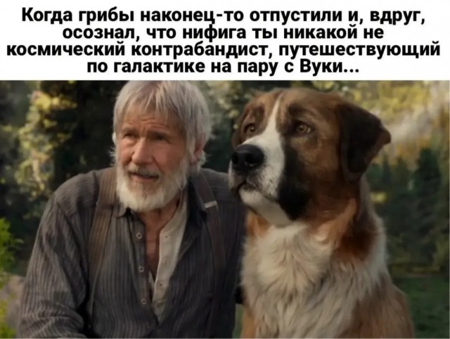 Деградация