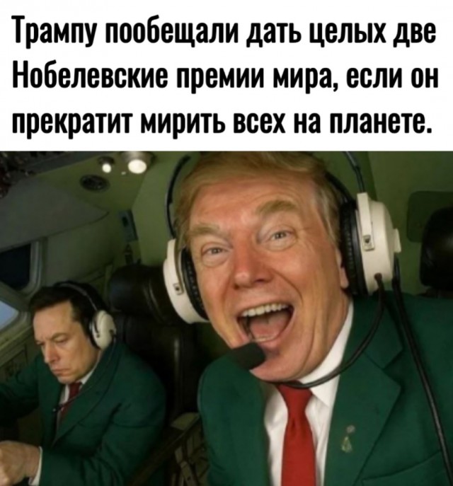 Весёлый полтишок 08.07.25