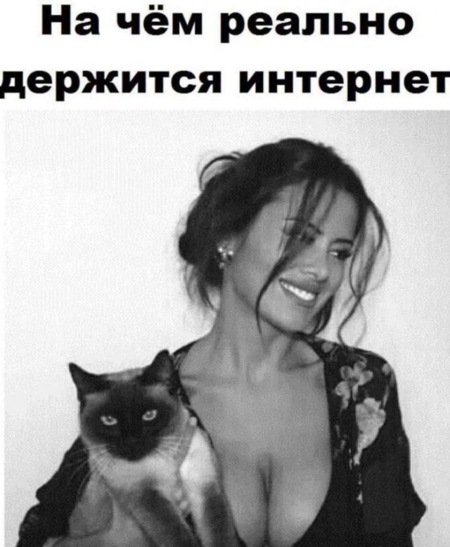 Картинки для деградации 11 (разной степени свежести)