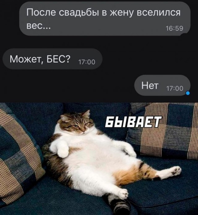 Веселые картинки в пятницу (15.08)