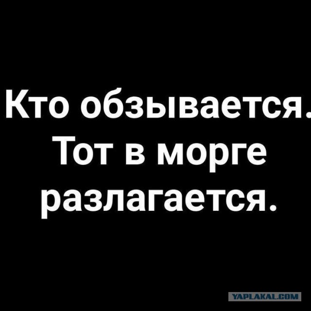 Так себе картинки 29.12.25