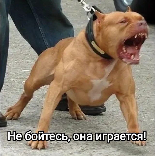 "Ху*е ты тут с детьми-то ходишь?"