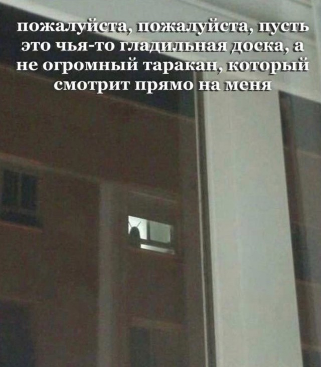 Картинки для деградации 160 (разной степени свежести)