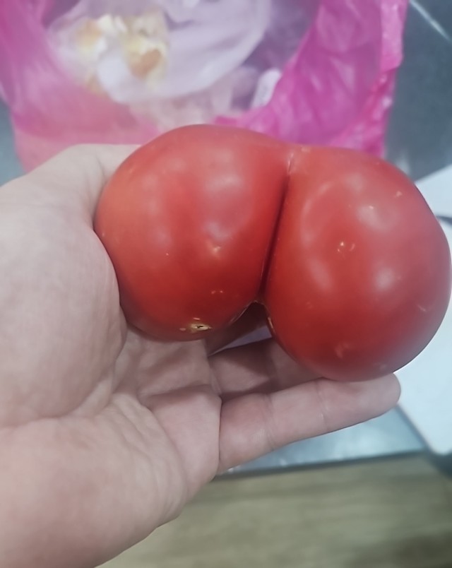 Пятничные жопки