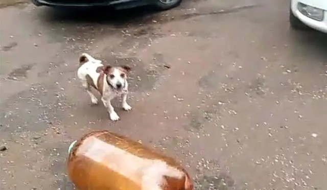 Это была спецоперация