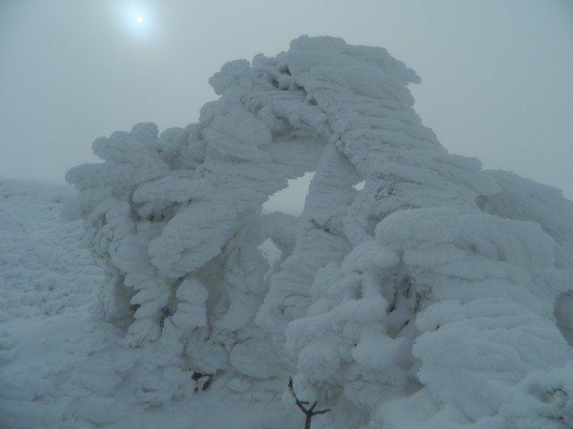 Крым засыпало снегом