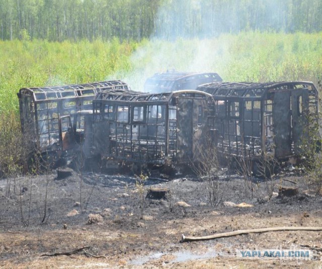 На Ровенщине жители задержали вооруженных боевиков