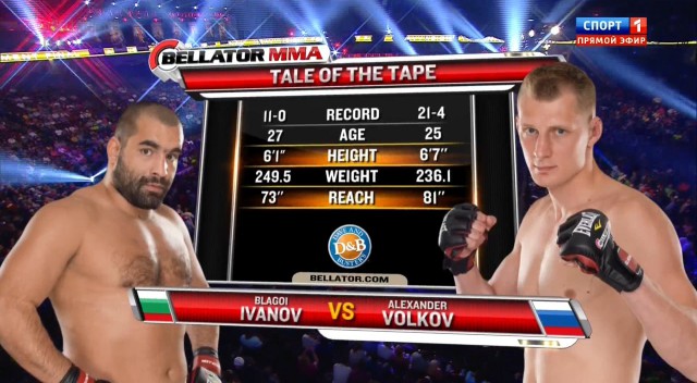 БОКС/MMA....