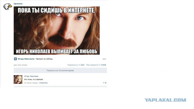 Смешные комментарии из социальных сетей