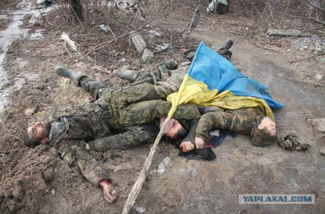Поздравим?