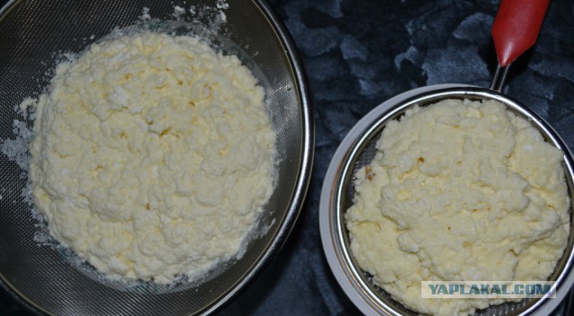 Как зарукожопить домашний сыр